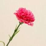 Realistic pink carnation artificial flower perfect for wedding or decorative arrangements.