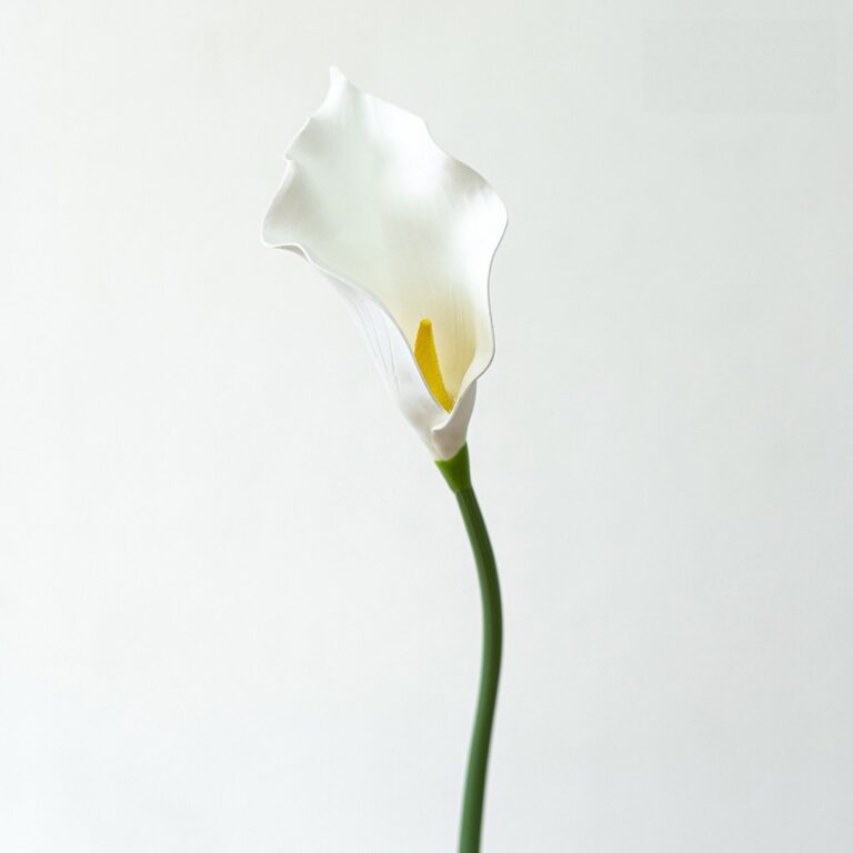 PU Calla Lily - 43-TJBLD4005 artificial flower in white