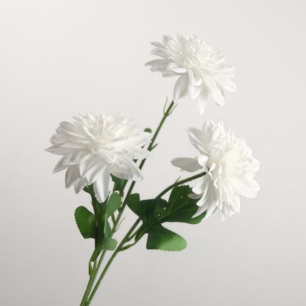 Three white dahlia flowers on green stems against a light gray background.