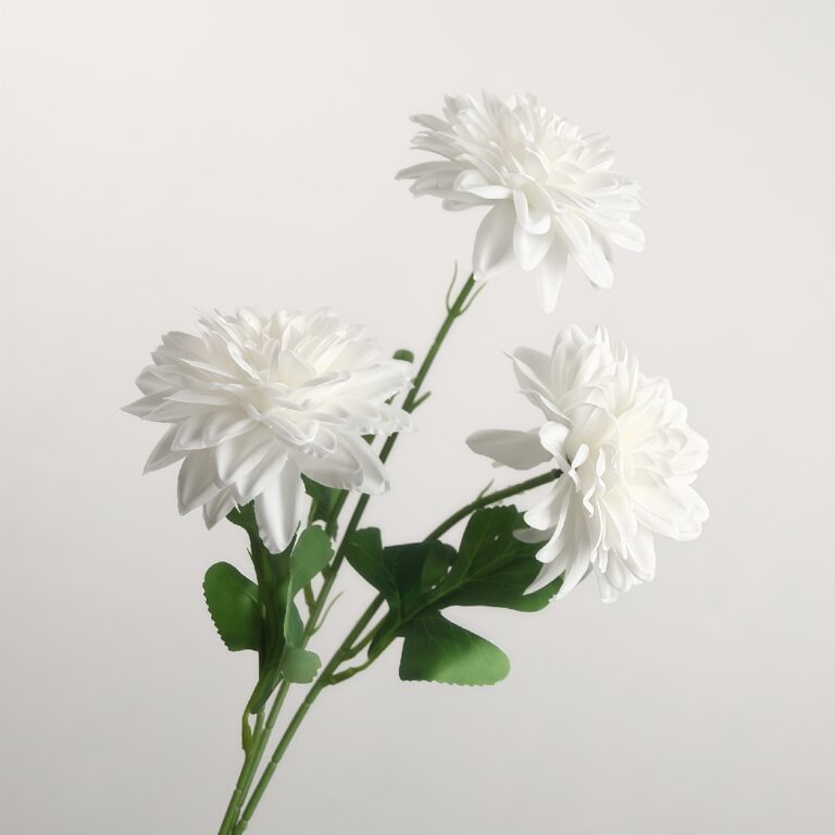 Three white dahlia flowers on green stems against a light gray background.