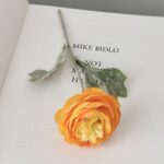 Silk ranunculus stem 48-YWMR1004 in orange