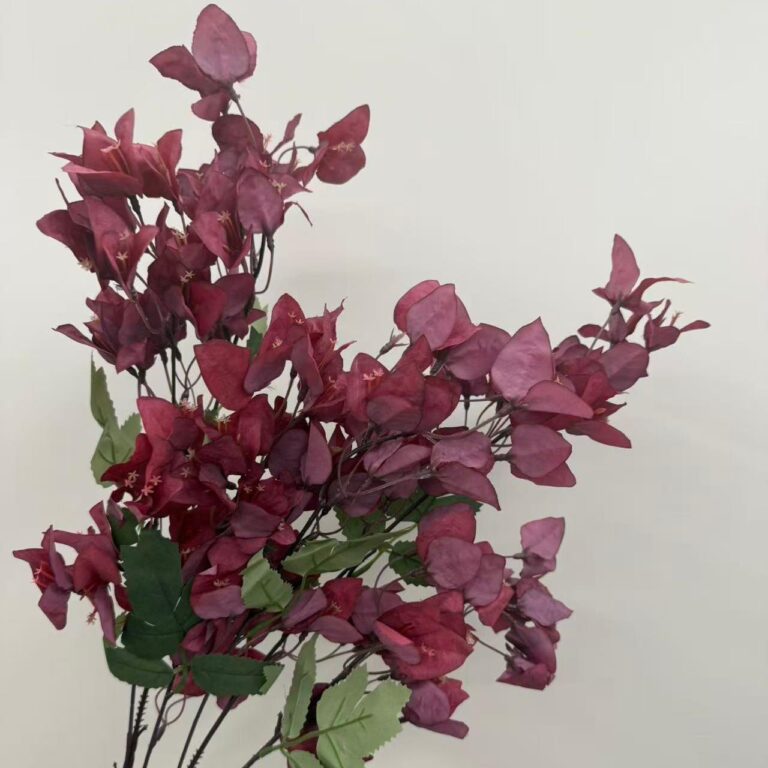Close-up of red silk bougainvillea bracts with small cream flower centres