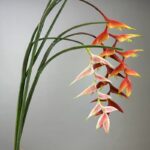 Real touch hanging bird of paradise 9 heads in orange, red and pink